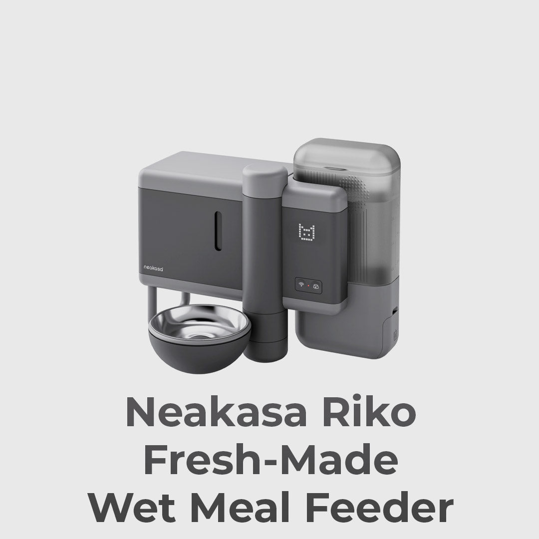 From Freeze-Dried To Fresh Meals
