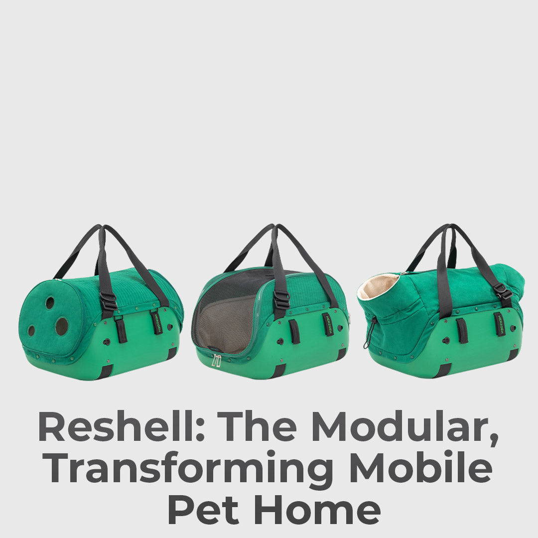 Hard-Shell Pet Carrier, No Droopy Floors