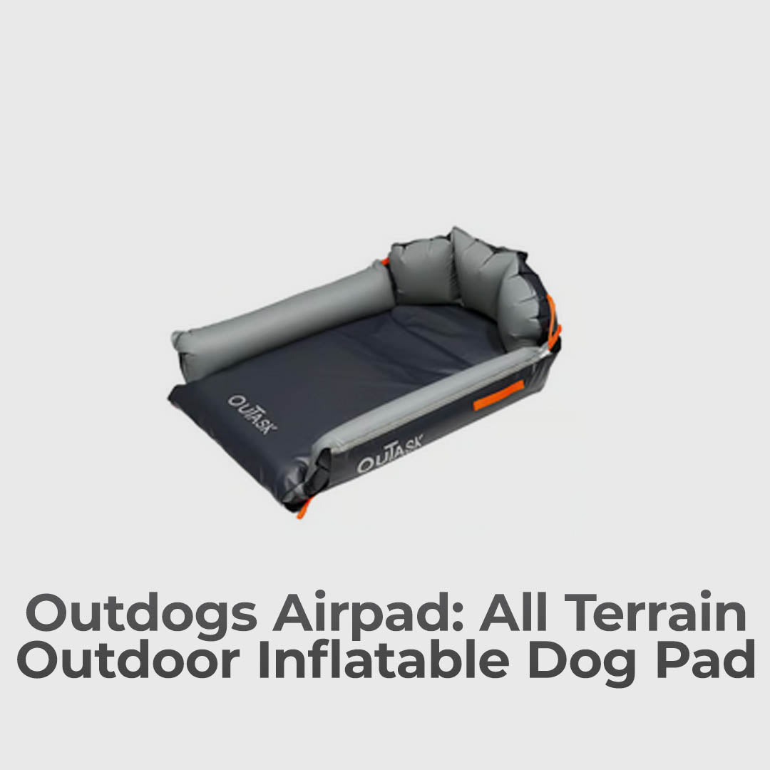 Adventure-Ready Dog Pad: Durable, Comfy, and Insect-Proof