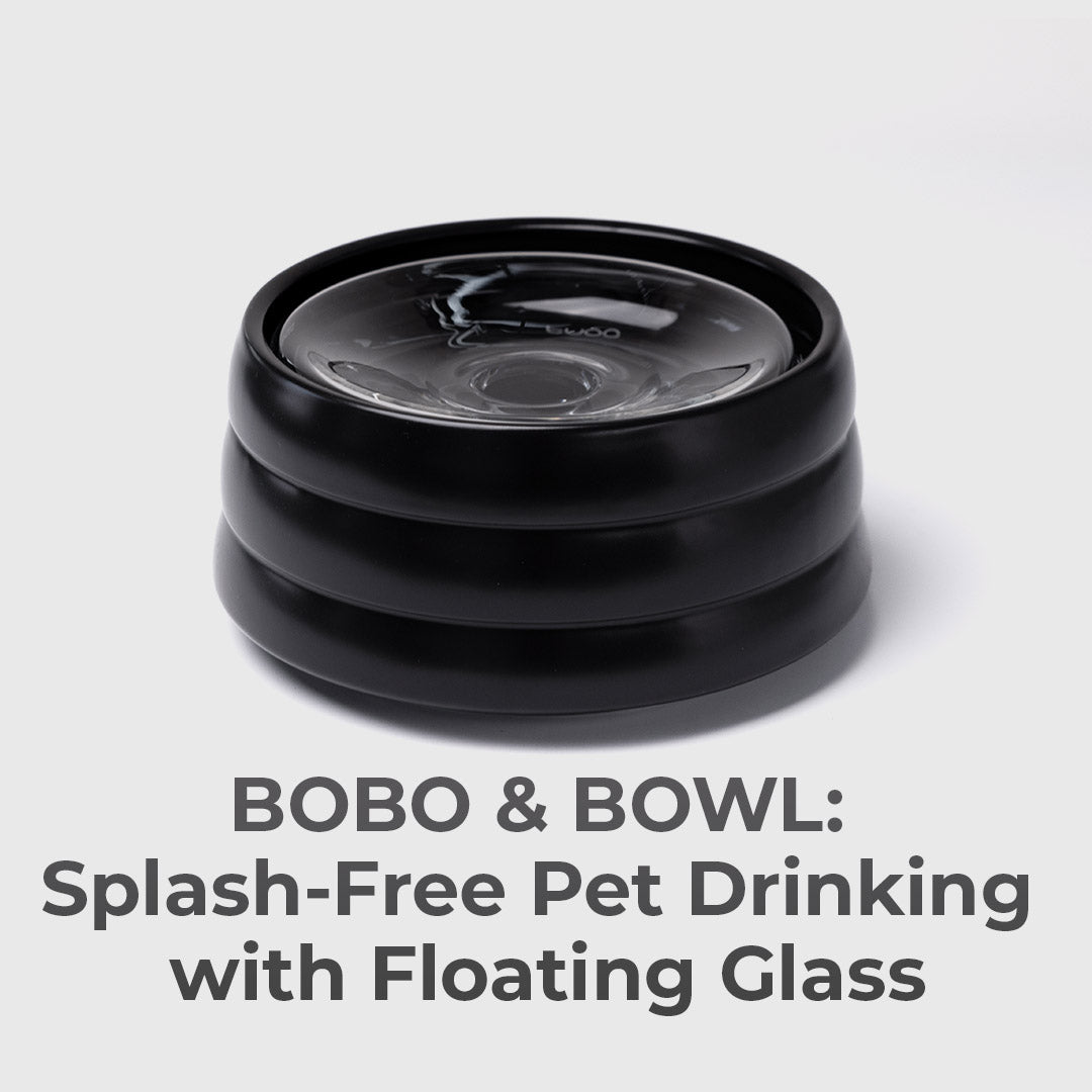 40oz Splash-Free Ceramic Pet Bowl