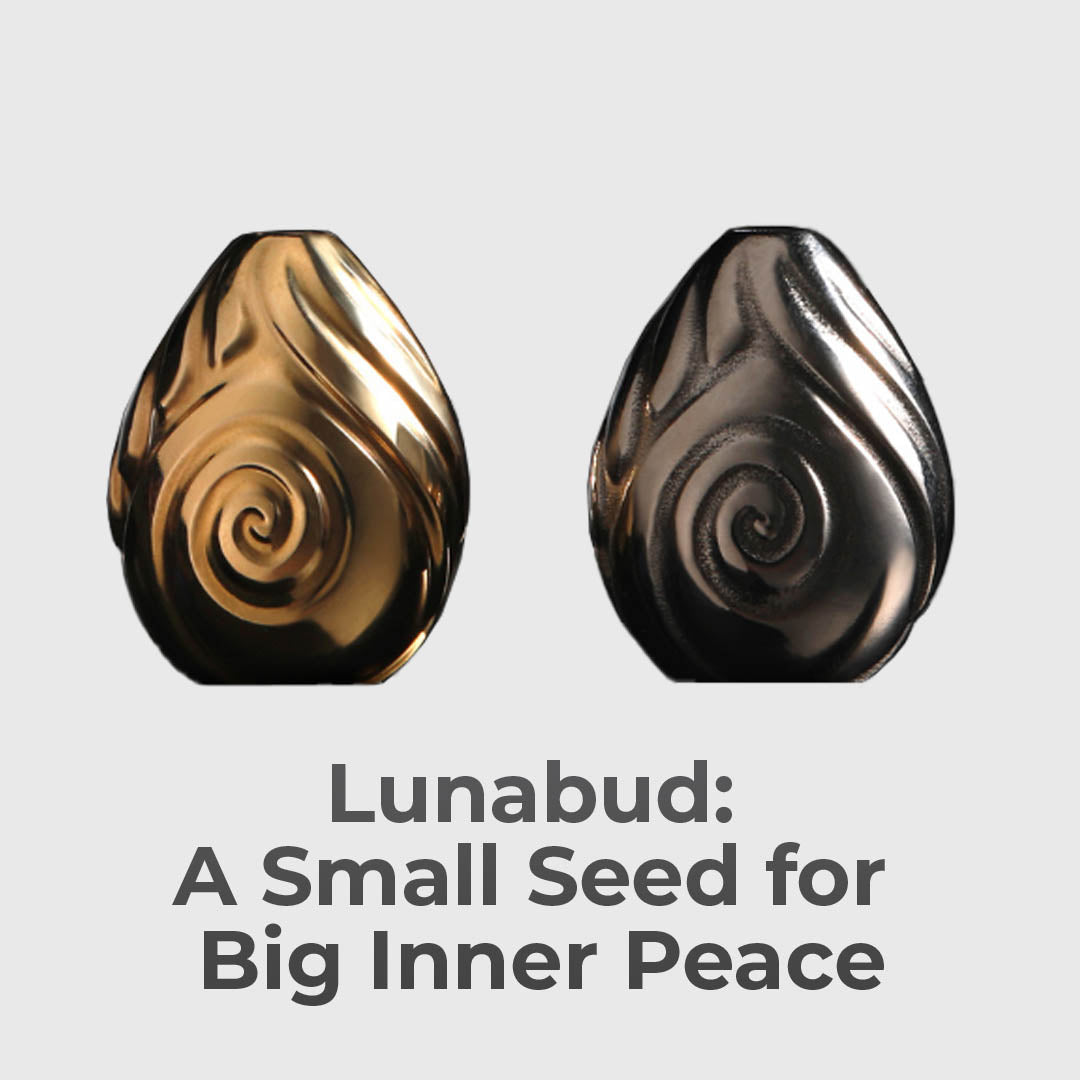 A Small Object With Quiet Power