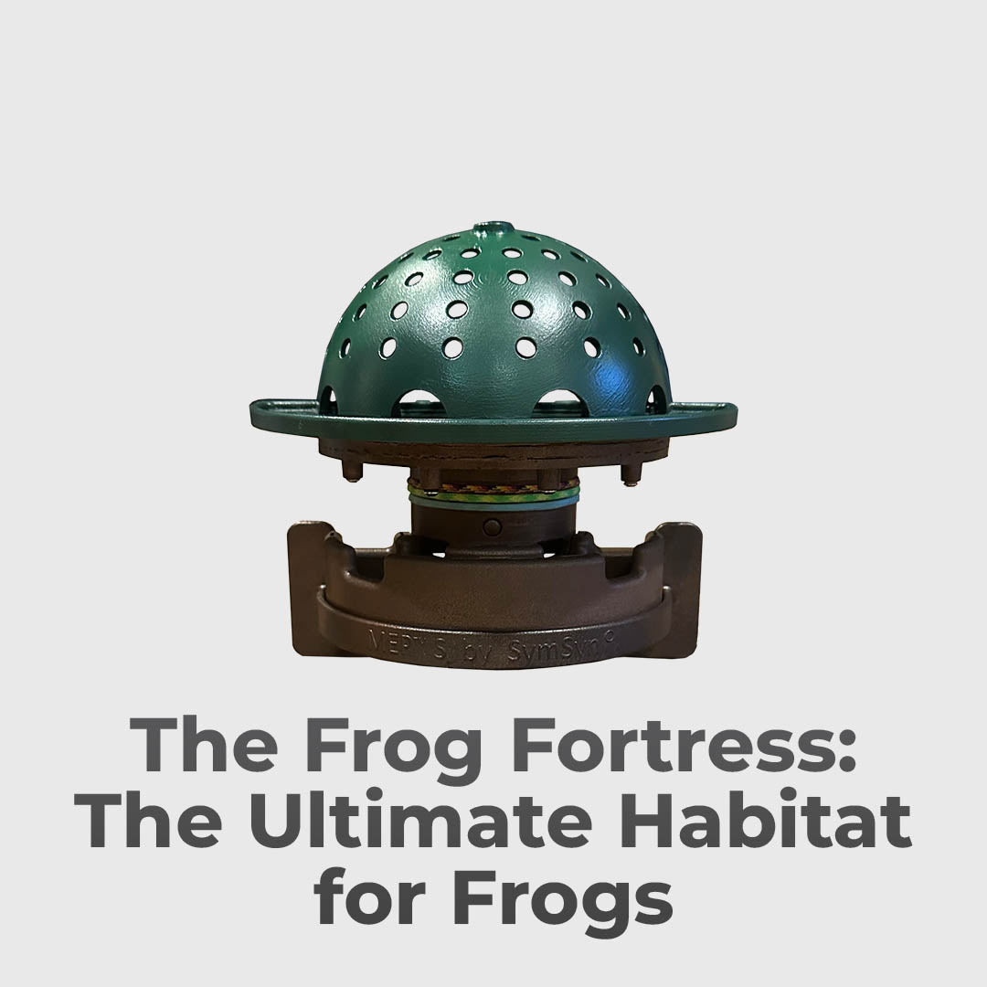 Backyard Frog Habitat for Nature Fans