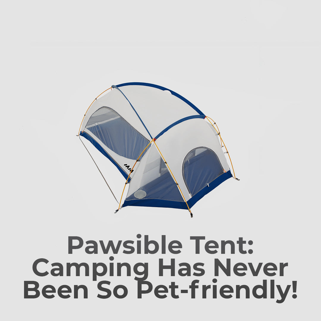 The Truly Pet-Friendly Tent For Puppy Camping Trips