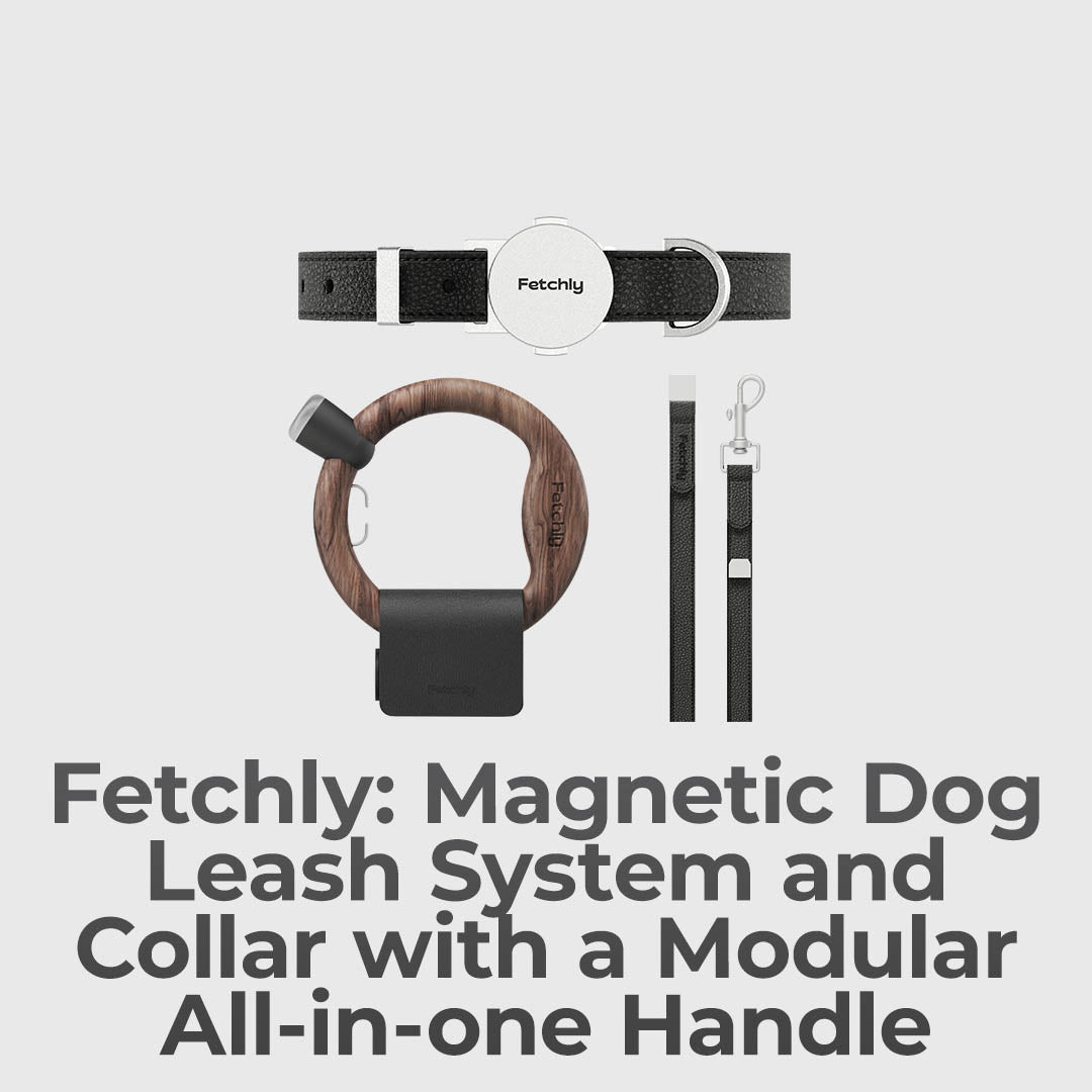 The Magnetic Leash That Adapts