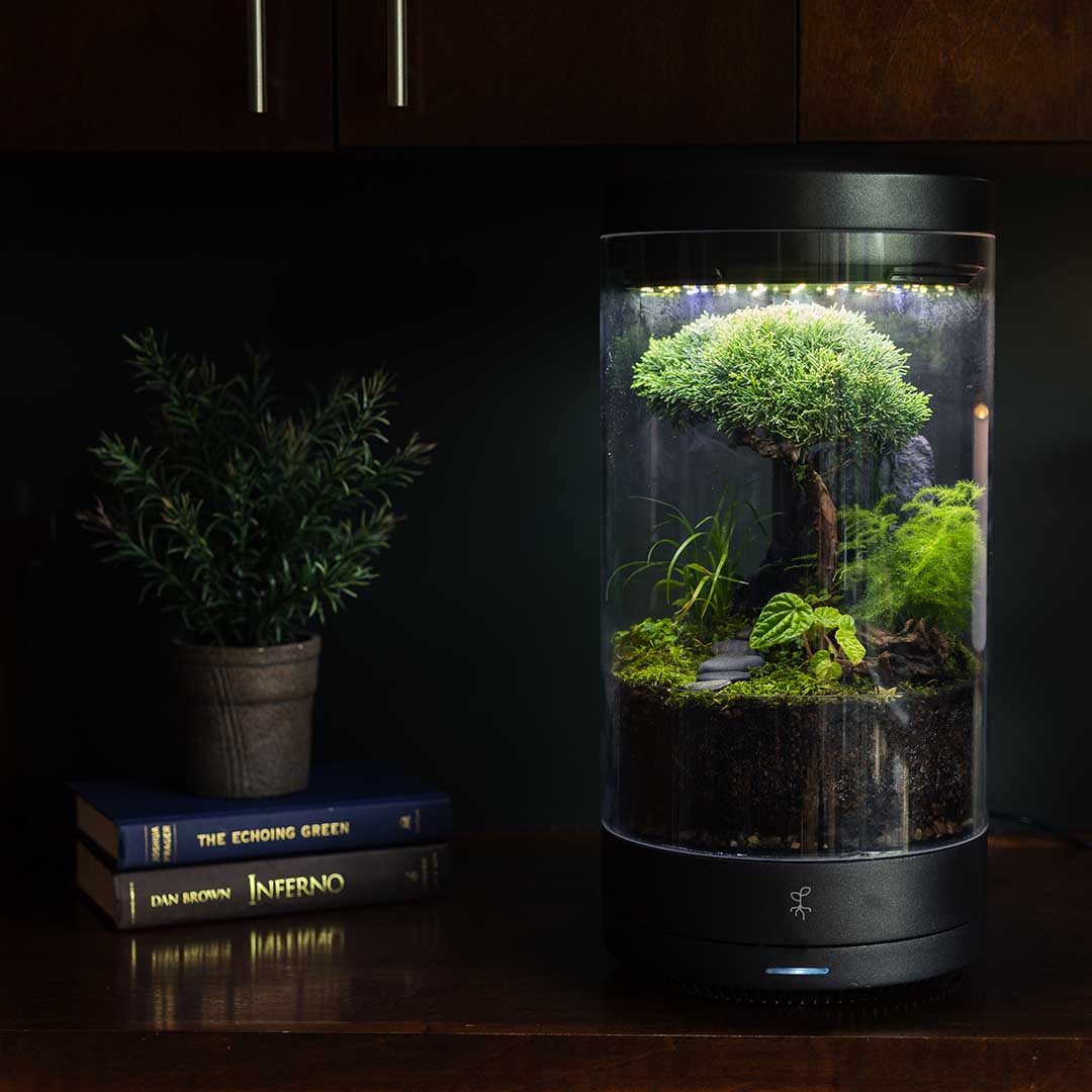 Bring Nature to Your Desk, Effortlessly