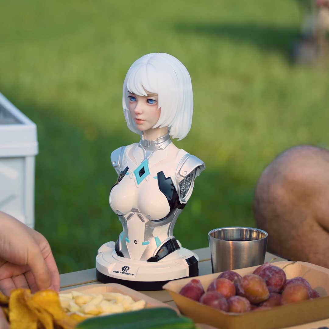 Make This Robot Truly Your Own
