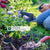 Monitor 13 Plant Health Metrics With One Smart Modular System
