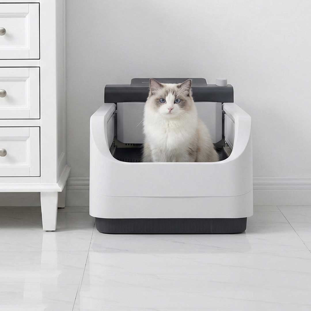 Self-Flushing Litter Box With AI Health Tracking