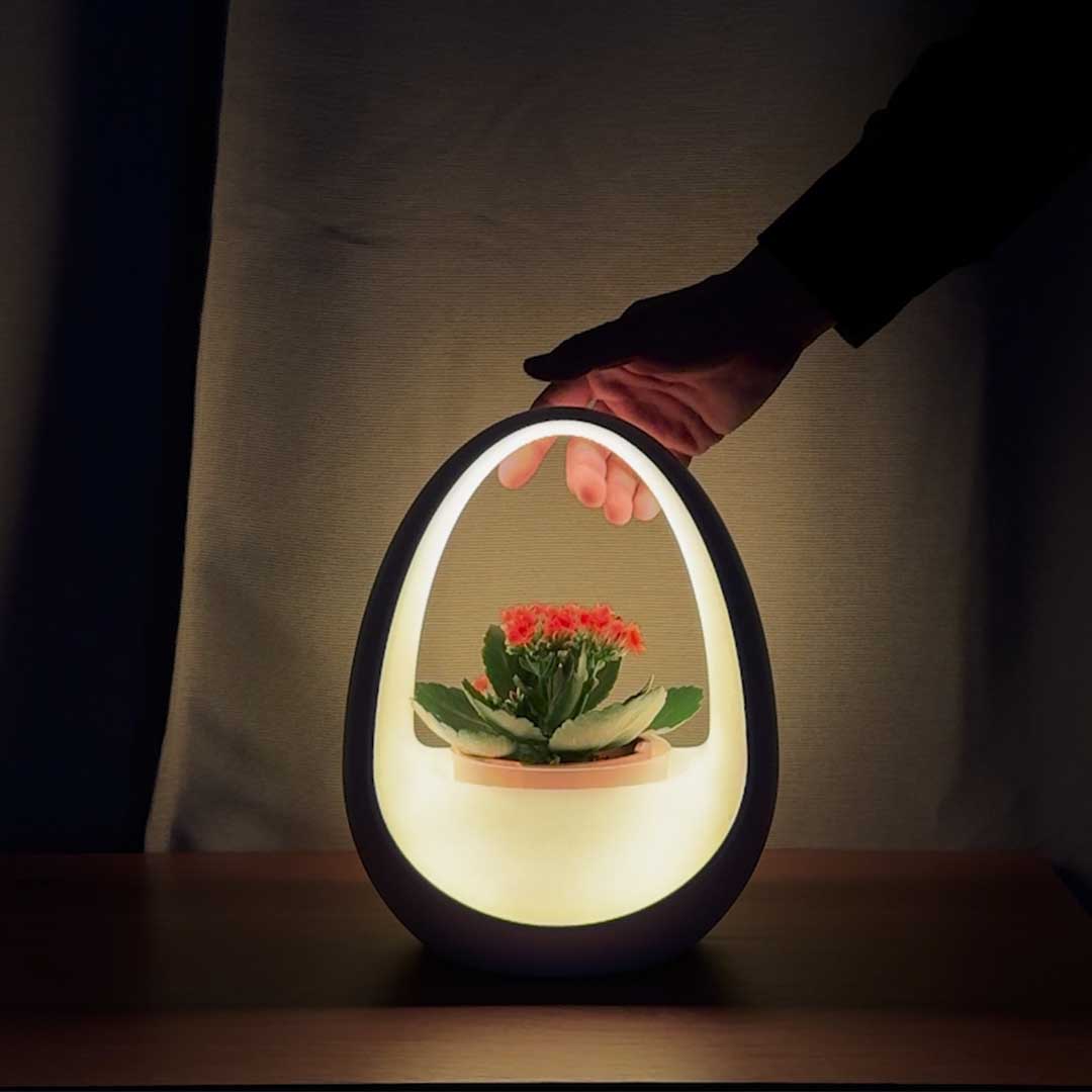 Where Light Meets Life Powered by Water, Designed to Grow