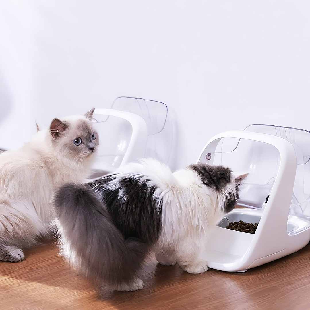 Stops Food Stealing at Mealtime