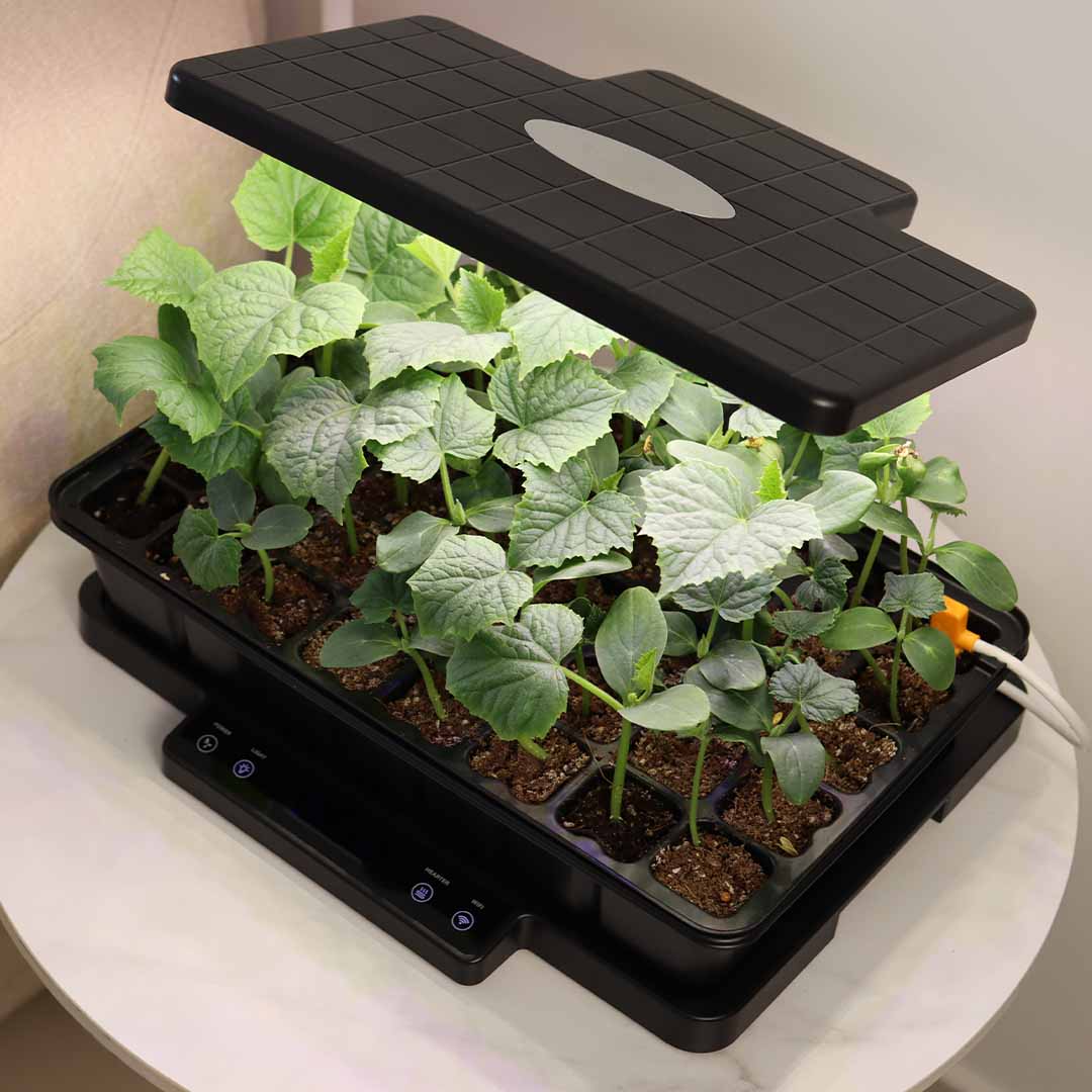 Start Strong, Grow Smarter