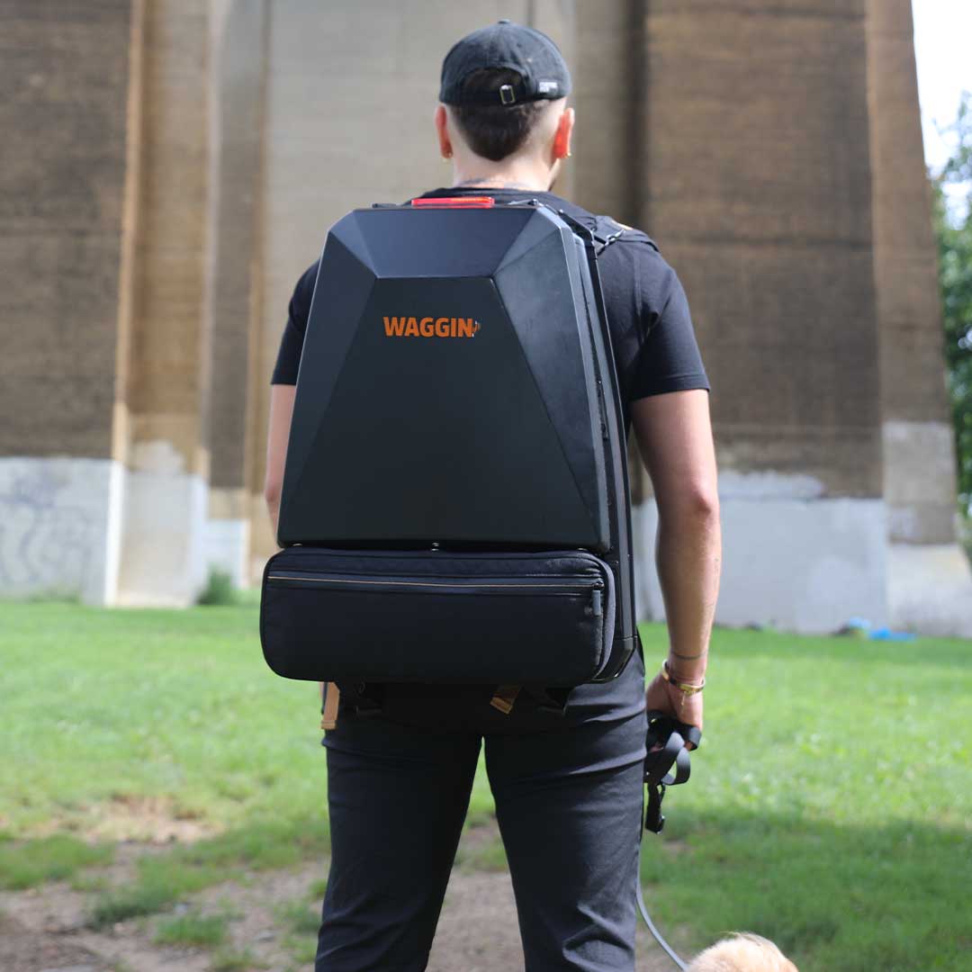 A Backpack, Stroller, & Bike Trailer For Your Dog