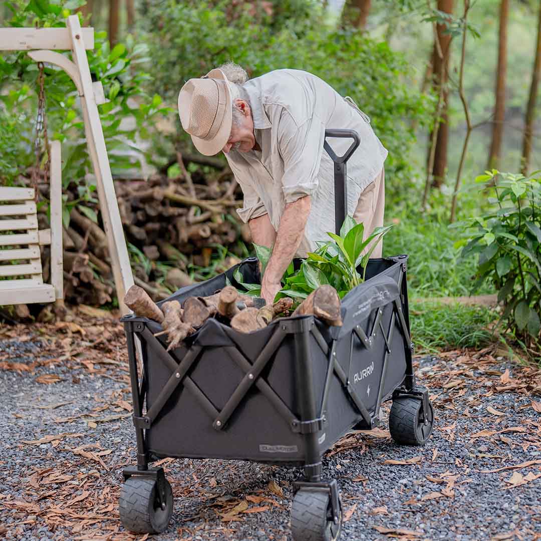 Revolutionize Your Hauling With An Intelligent Electric Wagon