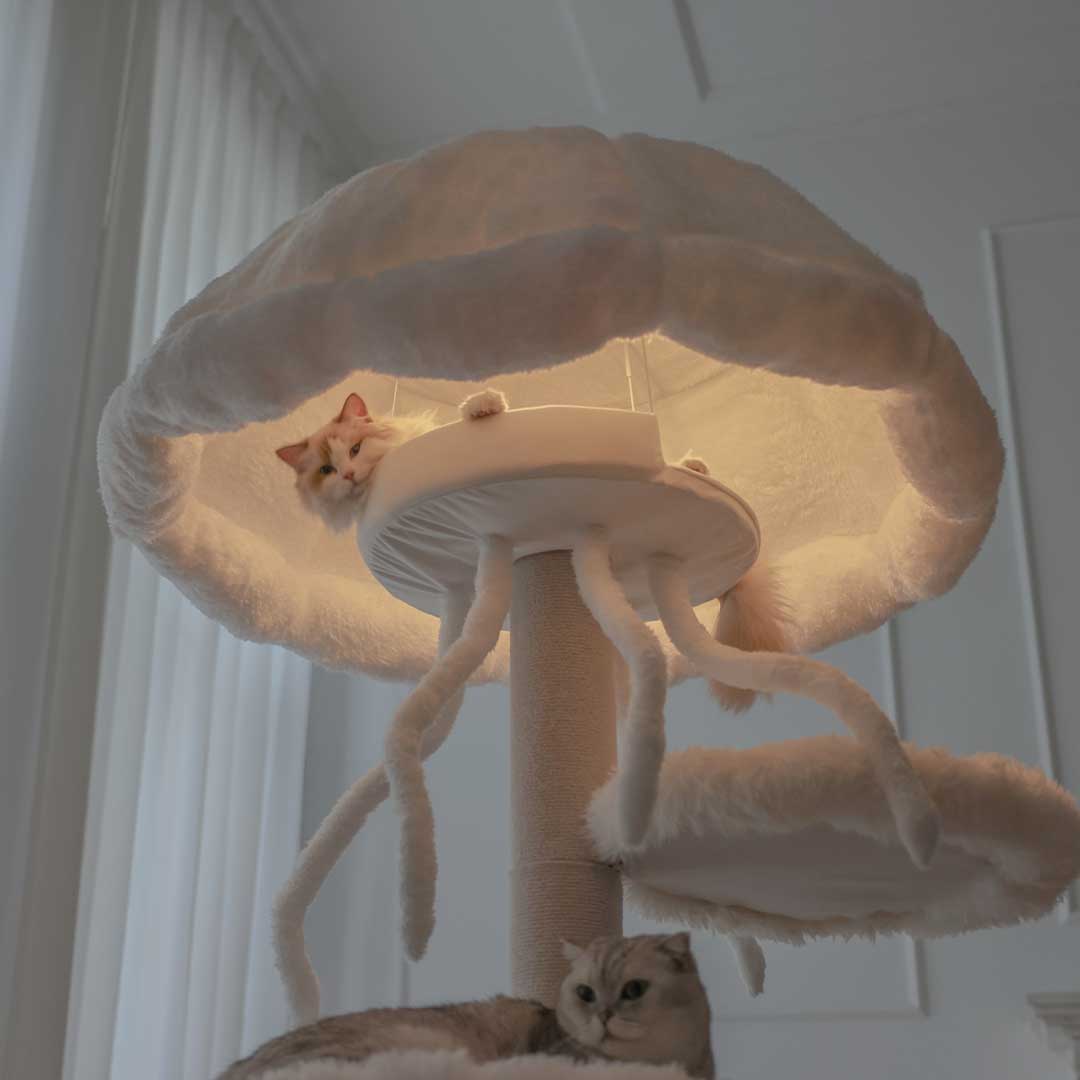 Interior-Worthy Cat Tree With Ambient Lighting