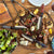Sandvik Steel Knife for Every Meal