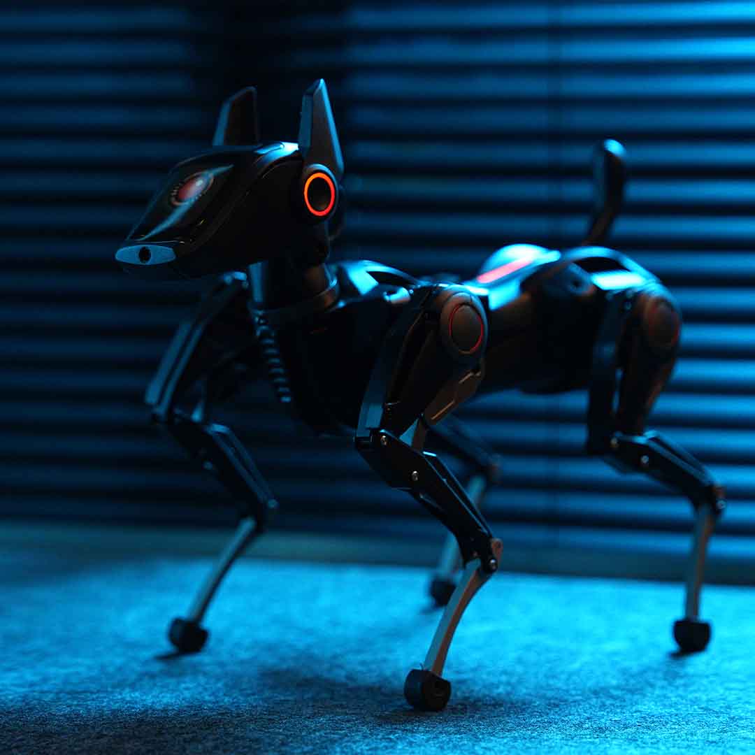 The AI Dog That Plays Forever