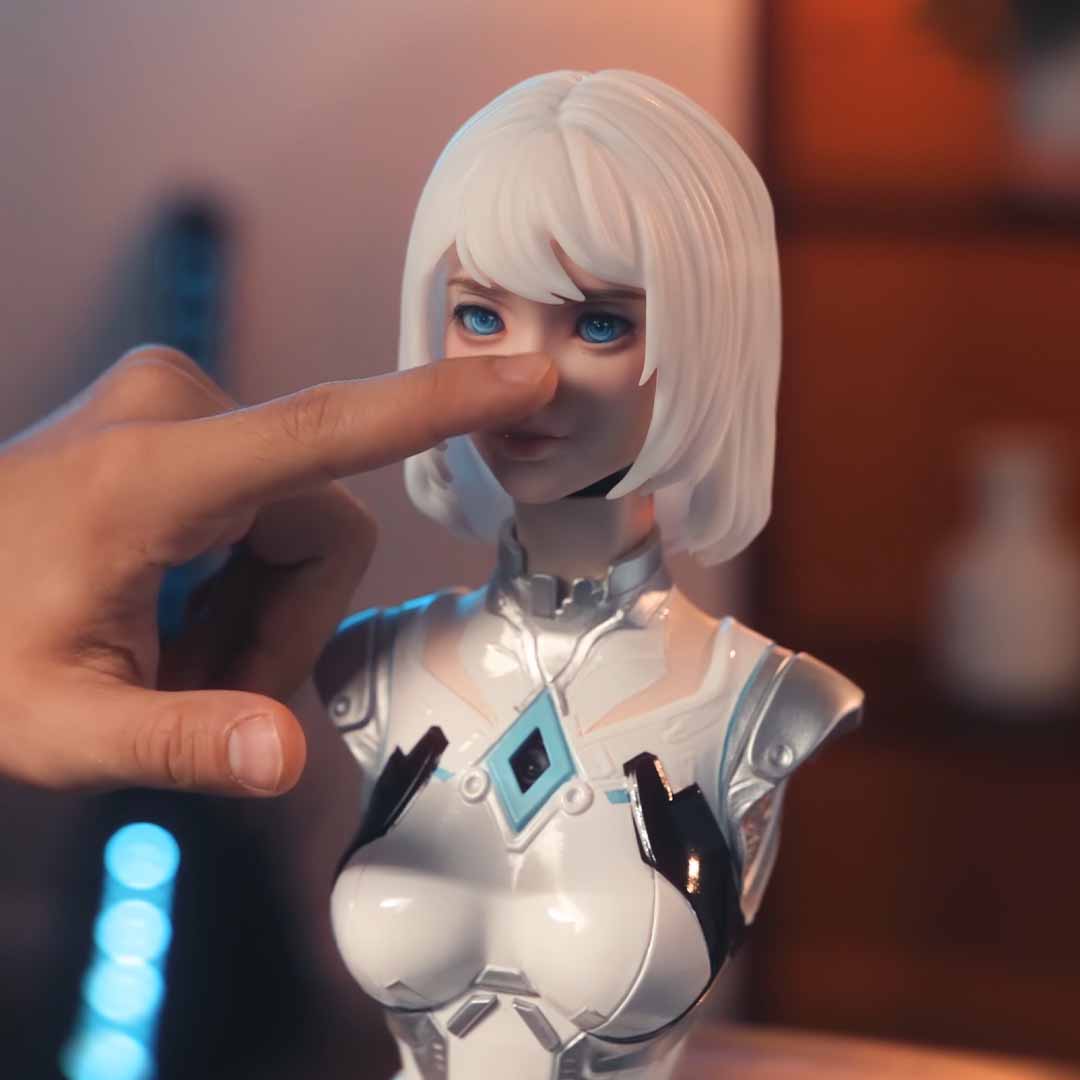 Make This Robot Truly Your Own