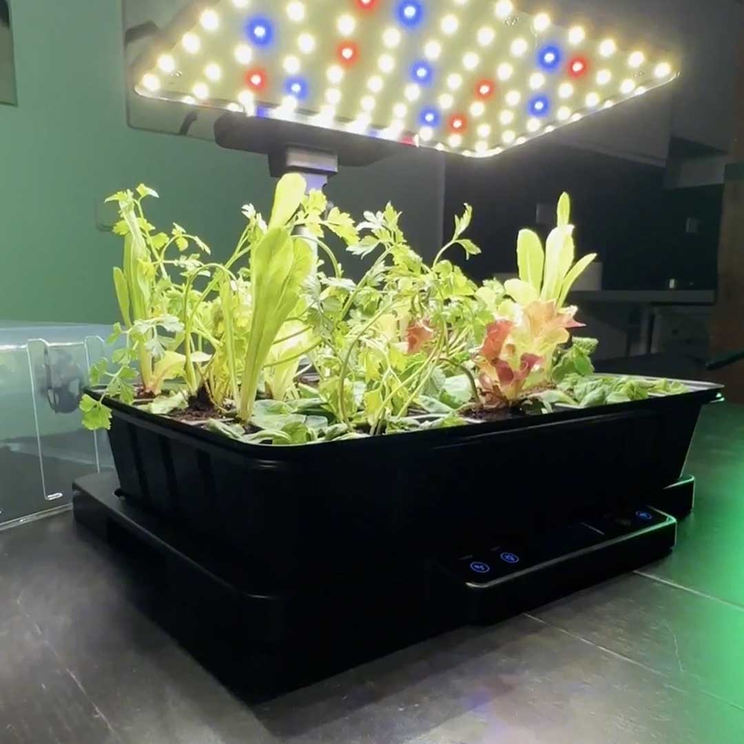 Start Strong, Grow Smarter