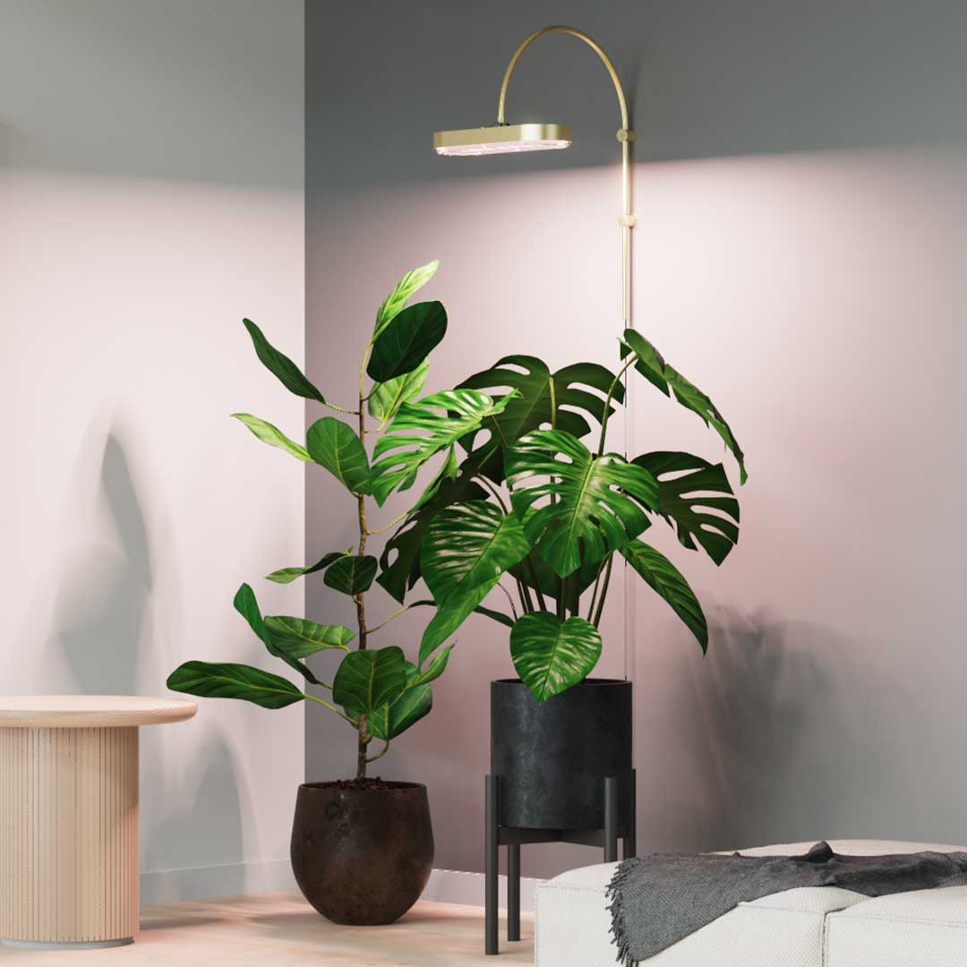 The 48W Grow Light With Airflow