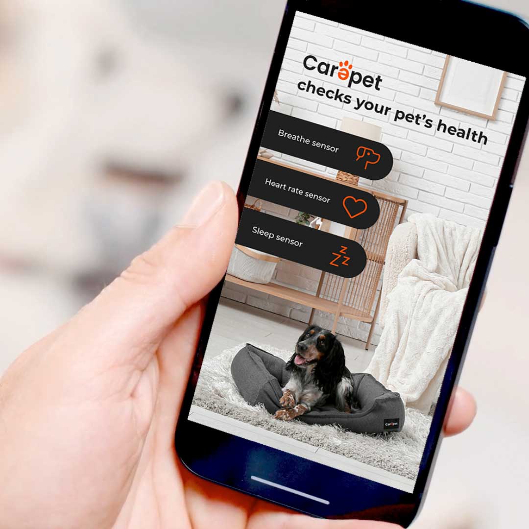 A Smart Carpet For Pet Health Tracking