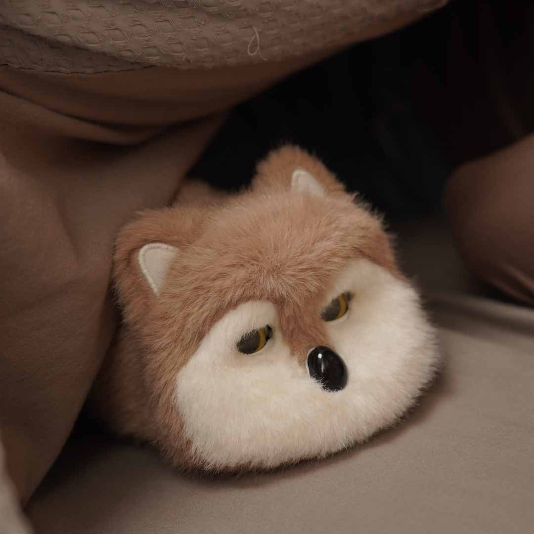 A Companion You Can Feel