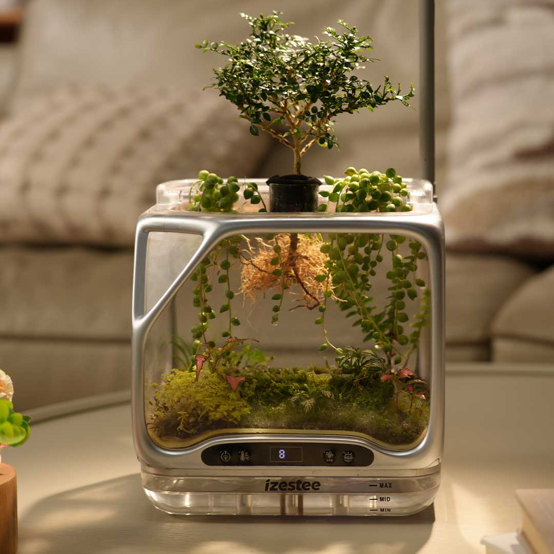 World's First Scenic Aeroponic Ecosystem