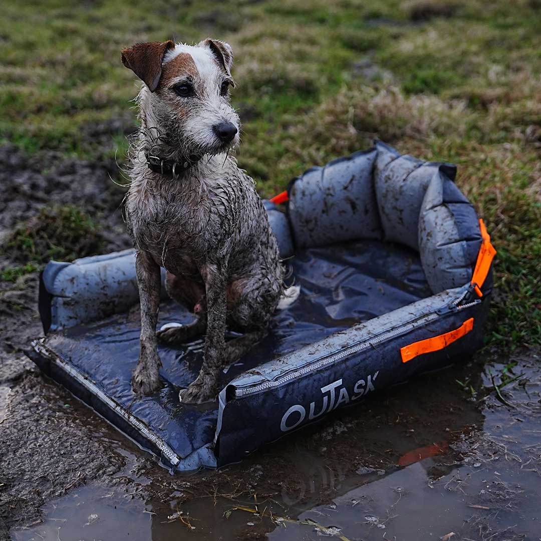 Adventure-Ready Dog Pad: Durable, Comfy, and Insect-Proof