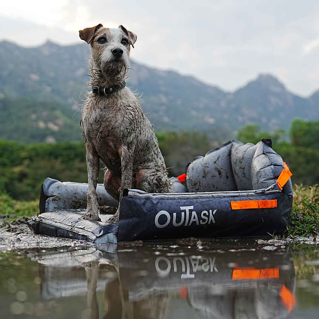 Adventure-Ready Dog Pad: Durable, Comfy, and Insect-Proof