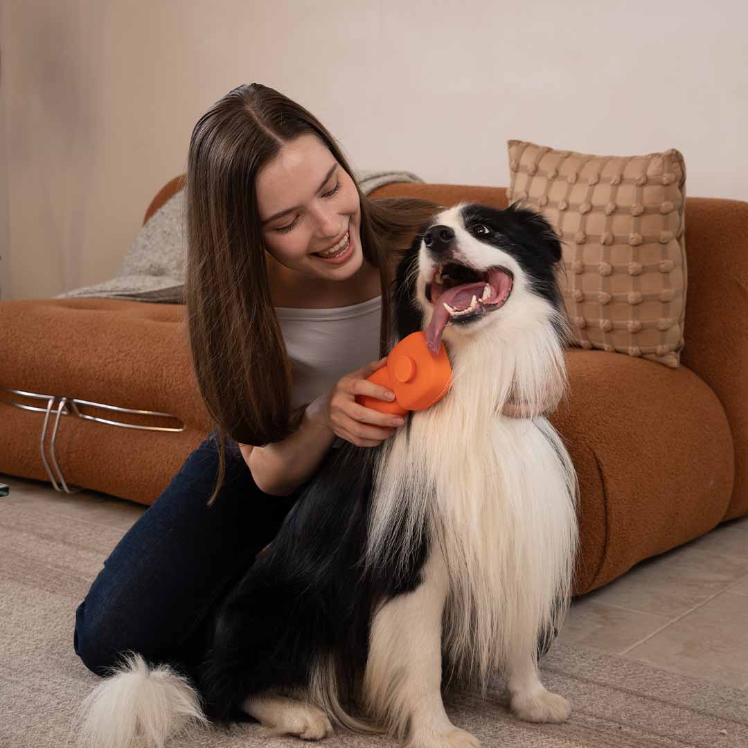 The Pet Brush That Kills 99.9% Bacteria