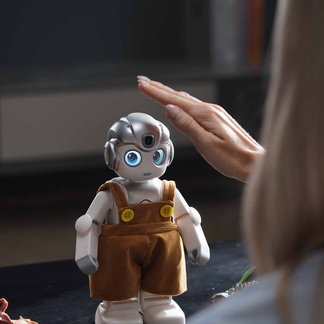 A Humanoid Robot For Curious Minds