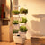 The Tower That Grows 48 Plants