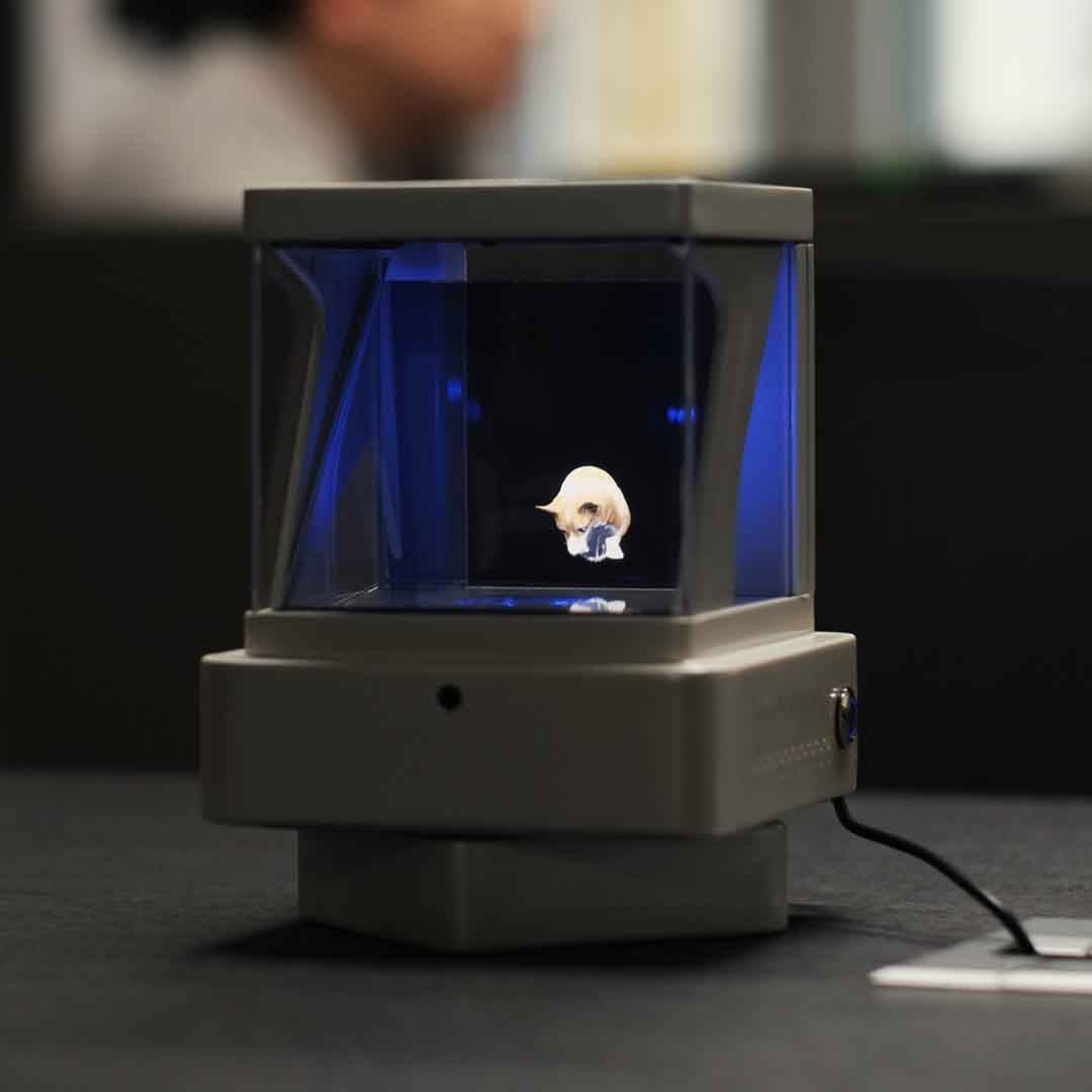 Experience Lifelike Pet Holograms at Home