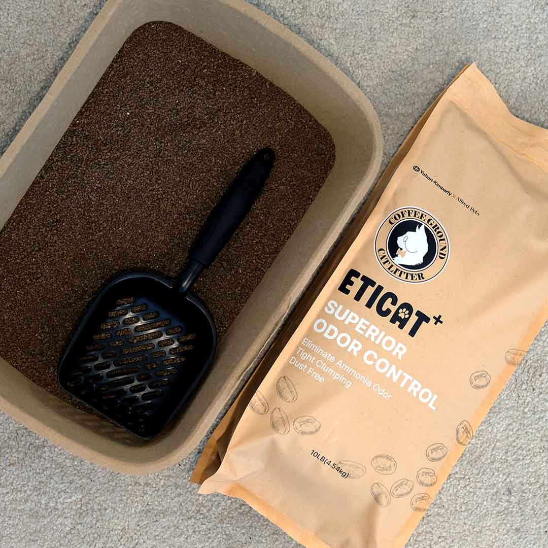 Innovative Cat Litter Crafted From Coffee Grounds