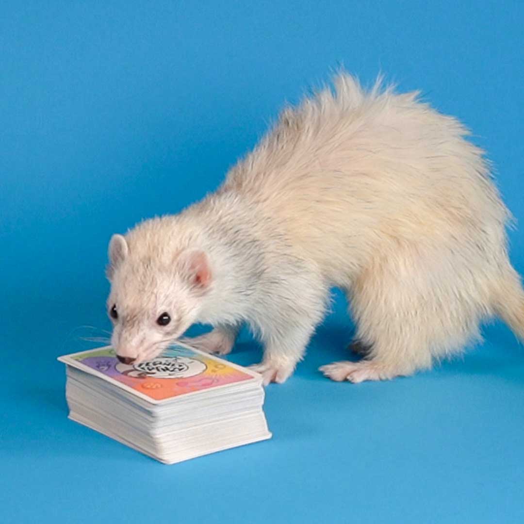 The Party Game of Risk, Reward... and Ferrets