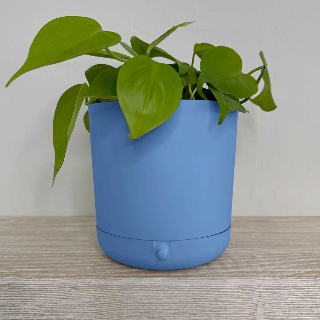 plant pot grid Innovative Plant Pot With Removable Drawer
