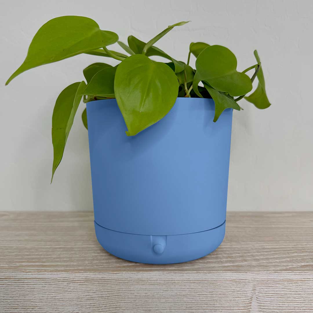 Innovative Plant Pot With Removable Drawer