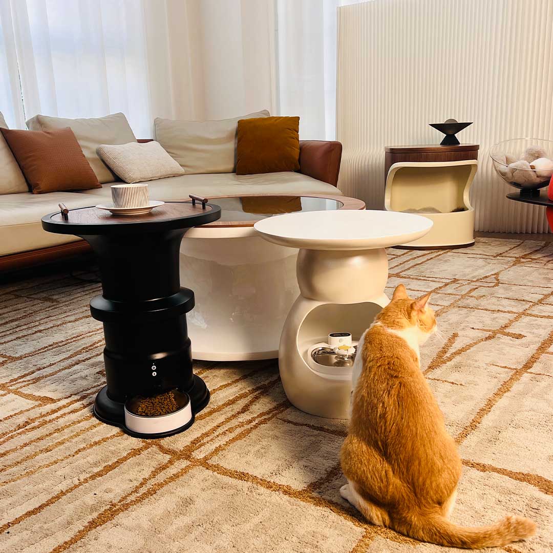 Furniture For Pets And People