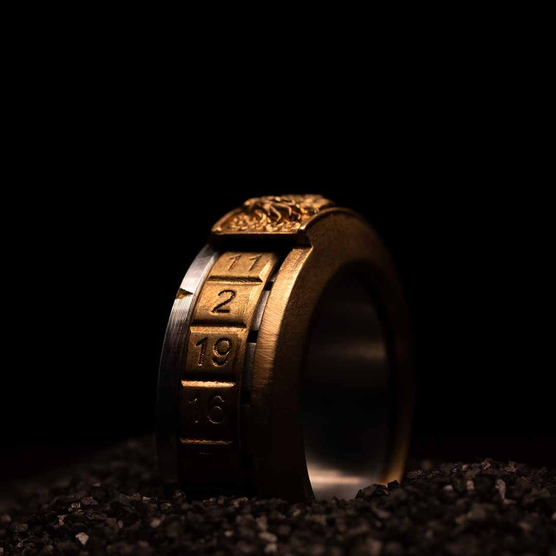 D20 Ring With Precision Bearings