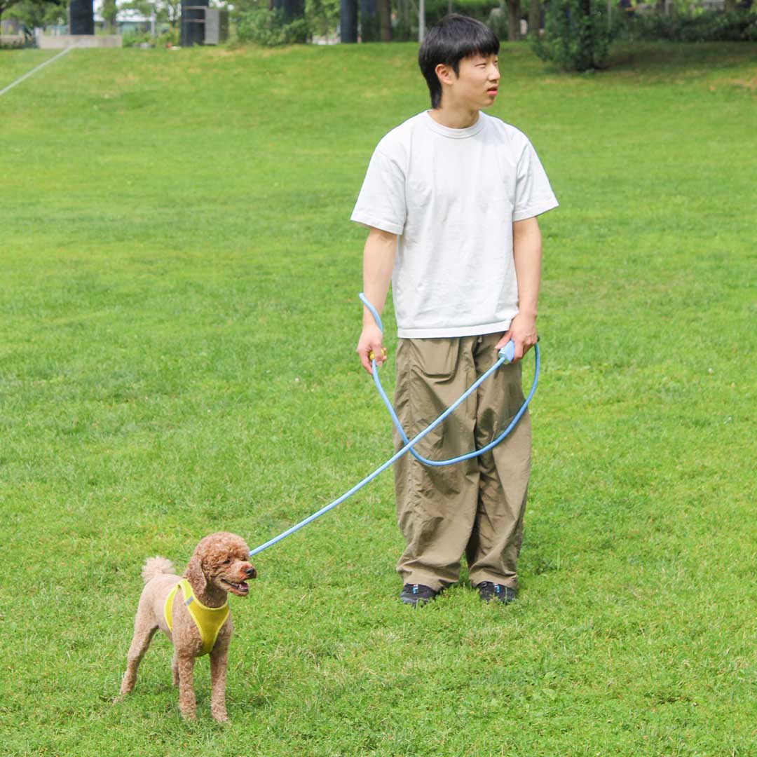 The Dog Leash Reinvented