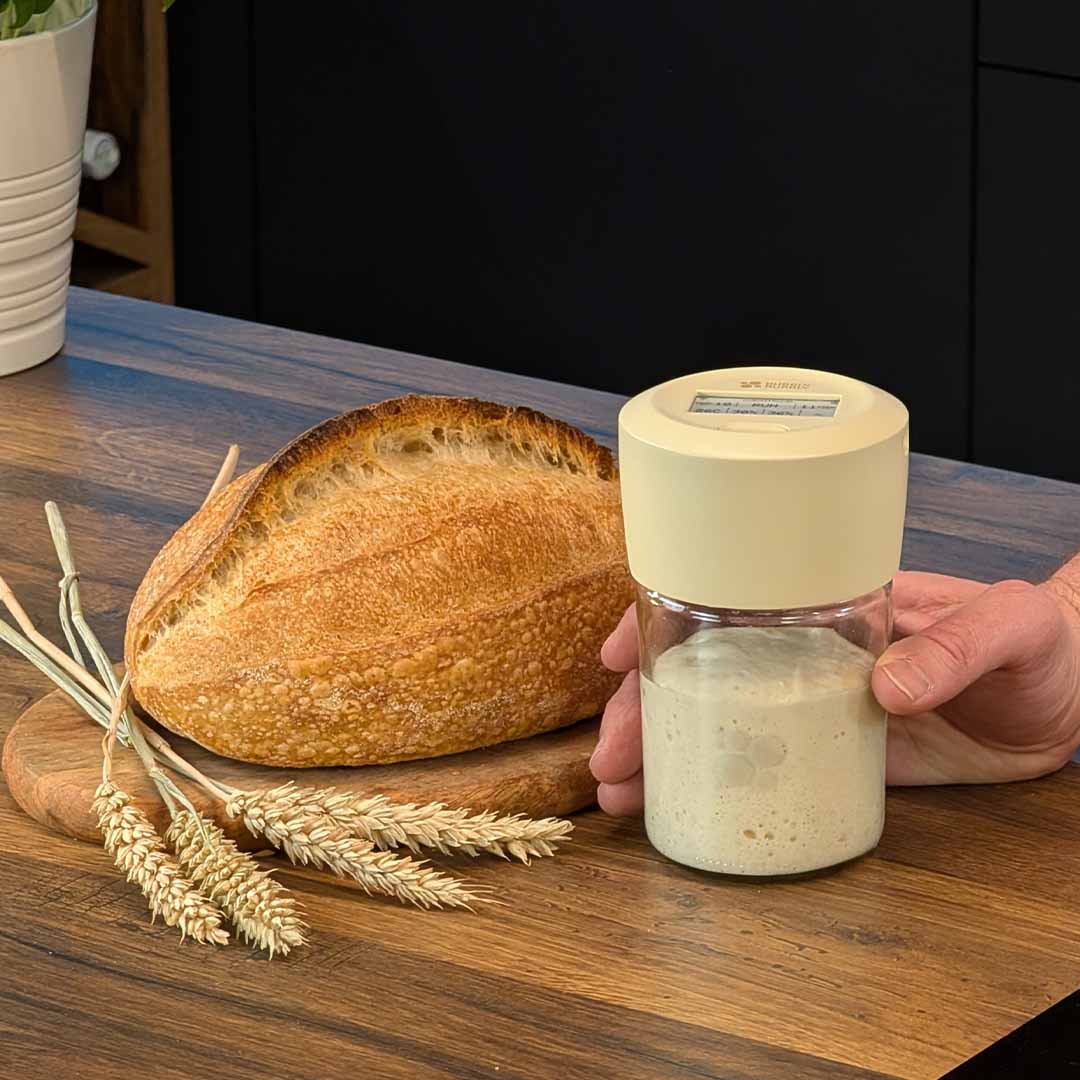 The Smart Fermentation Jar For Sourdough