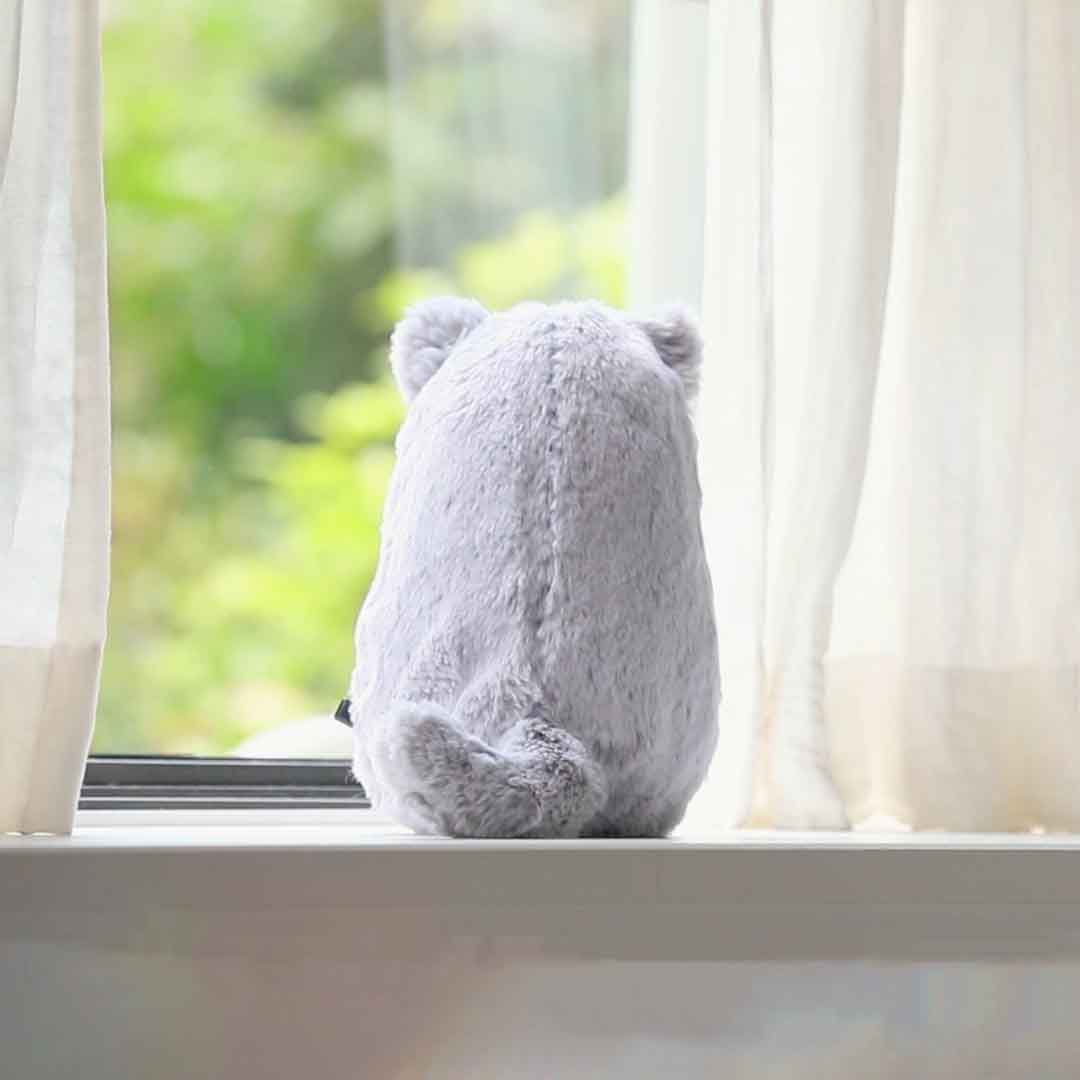 The Pillow Cat That Breathes With You