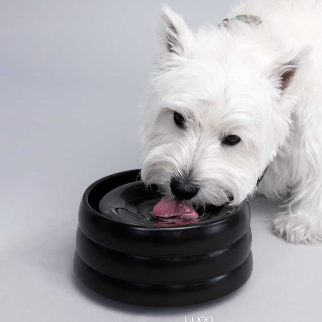 40oz Splash-Free Ceramic Pet Bowl