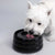 40oz Splash-Free Ceramic Pet Bowl