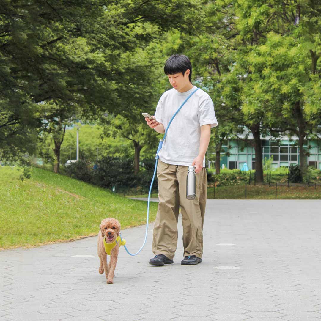 The Dog Leash Reinvented