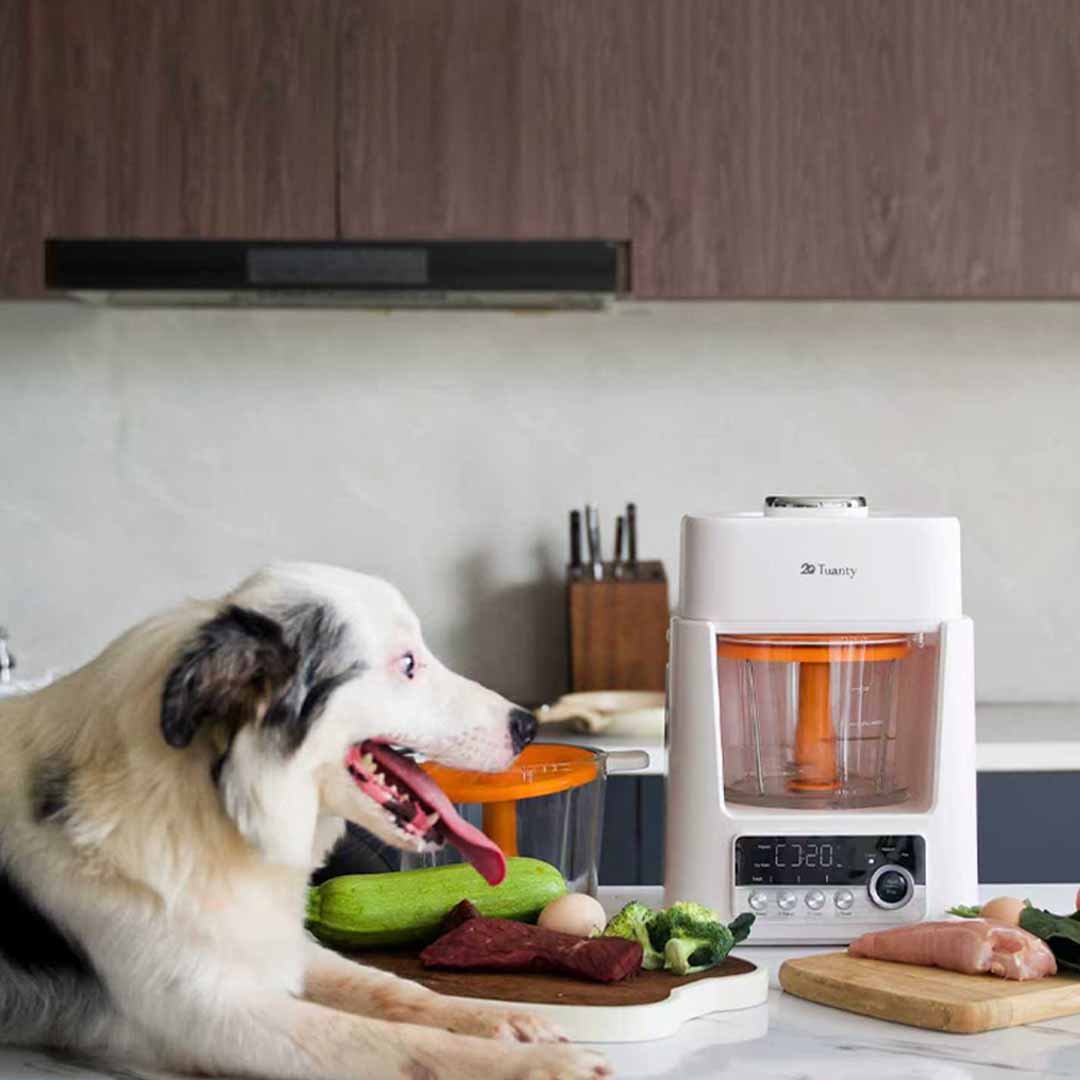 Healthy Feeding Without The Hassle