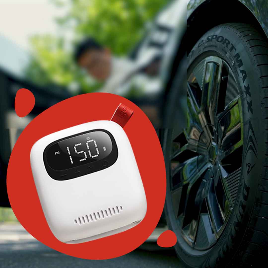 Big Air, Tiny Companion