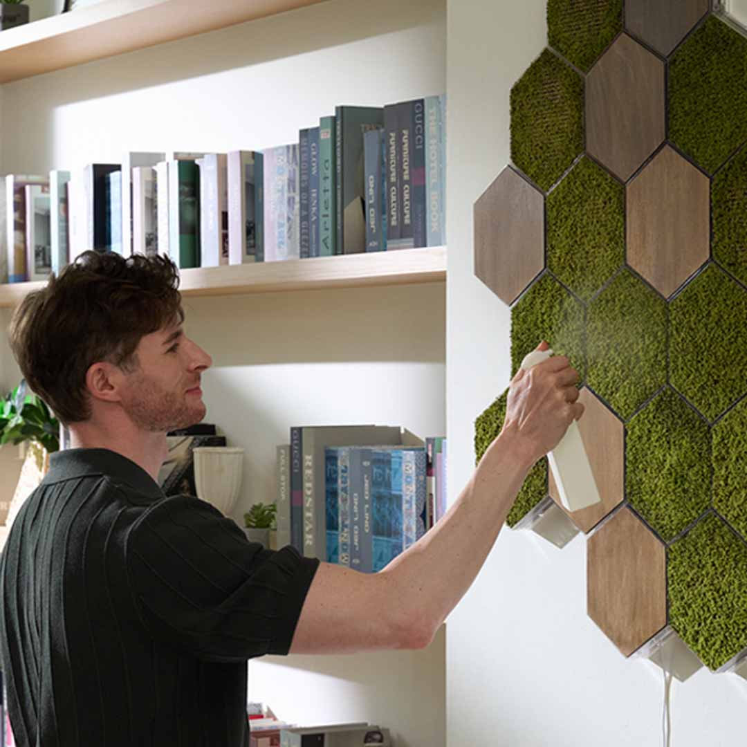 Modular Real Moss Wall Decor