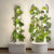 High-Yield Hydroponic System That Adapts To Your Growing Needs