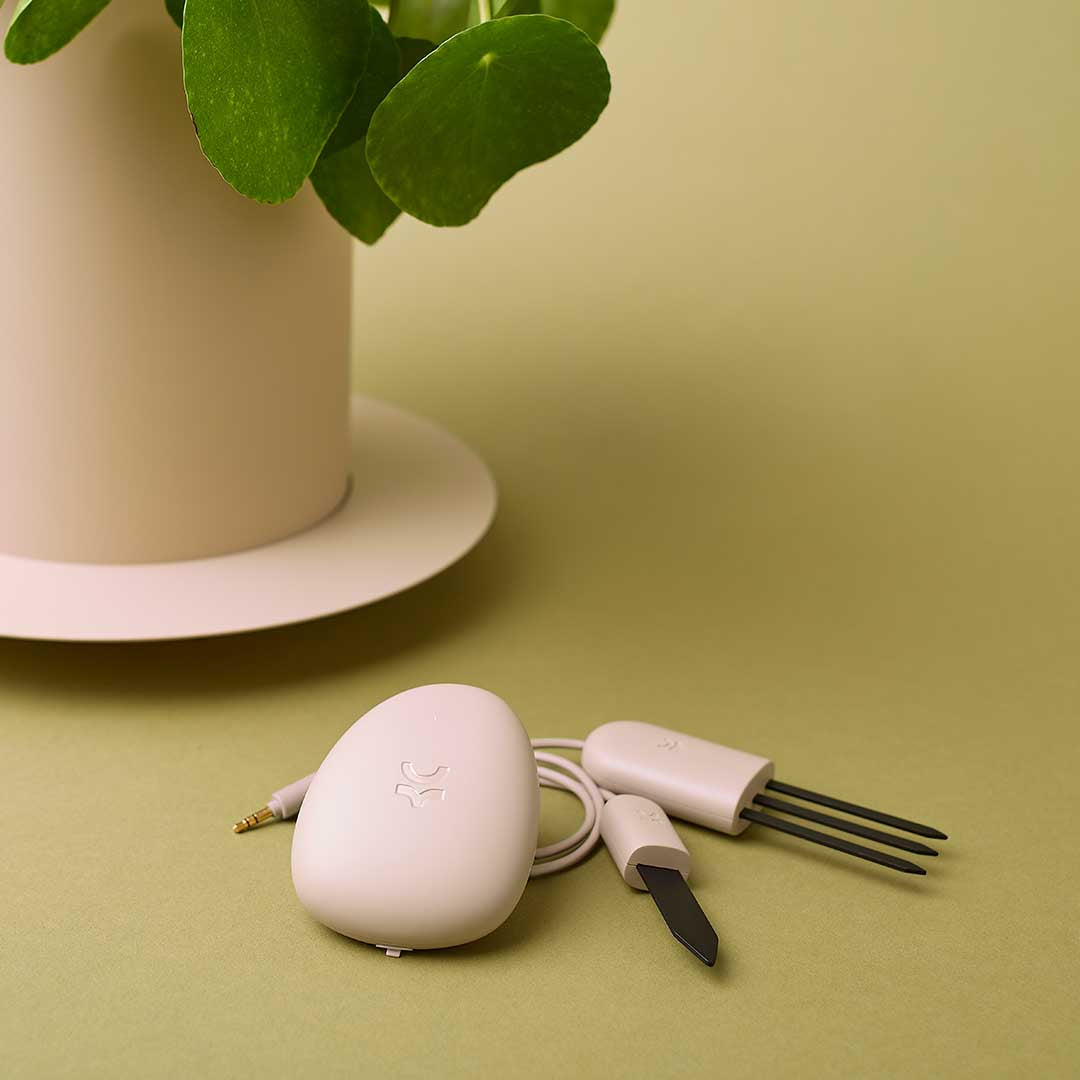 Smart Sensor & App For Effortless Plant Care