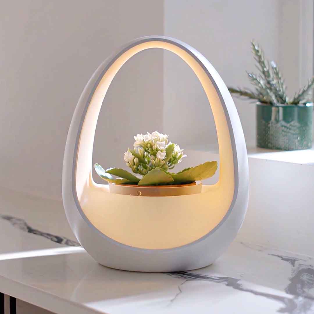 Where Light Meets Life Powered by Water, Designed to Grow